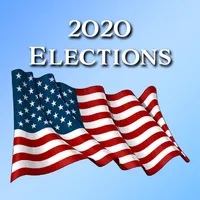 Elections 2020 icon