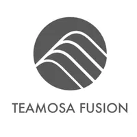 TEAMOSA Fusion USA icon