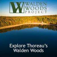 Walden Pond and Woods Guide icon