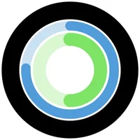 Vesgo icon