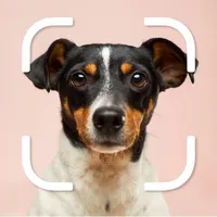 Dog Selfie Camera Editor icon