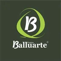 Balluarte icon