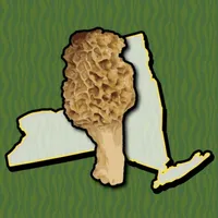 New York Mushroom Forager Map! icon