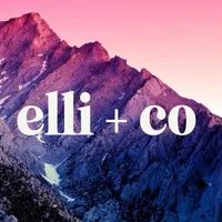 Elli + Co icon