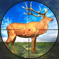 Bow Hunter : Wild Animal Hunt icon