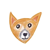 FairDingo icon