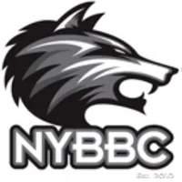 NYBBC Taekwondo icon