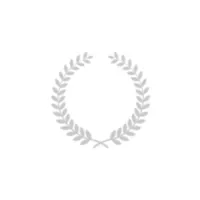Daser Native icon