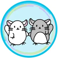 Chinchilla Minny New Normal icon