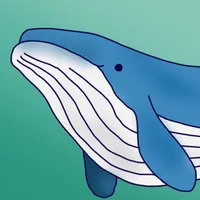 Whale Follow icon