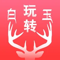 玩转白玉 icon