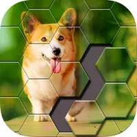 Block Hexa Jigsaw Puzzle icon