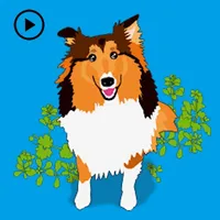 Exciting Sheltie Dog Sticker icon