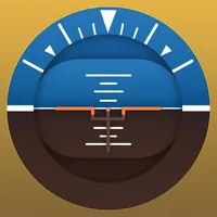 Watch Flight Simulator icon