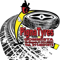 Pigna Tyres icon