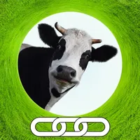 Spark Cow icon