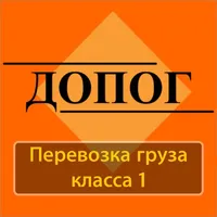 Тесты ДОПОГ 1 класс 2023 год icon