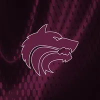 Lincoln Wolves icon