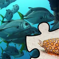 Aquatic School Edition icon