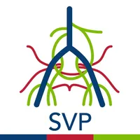 SVP Classifier icon