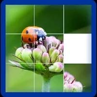 Photo Logic Game icon