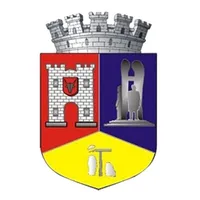 Municipiul Dej icon