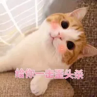 撩人小猫咪表情包 icon