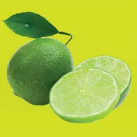 Lime To Go icon