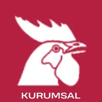 Horoz Lojistik Kurumsal icon