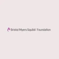 BMSF Virtual Grantee Summit icon