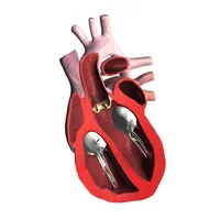 Heart AR icon