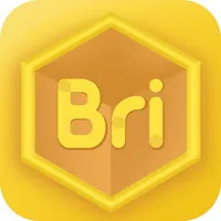 Bricube学生 icon