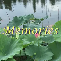 Memories: Photo Widget icon