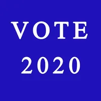 Vote - 2020 icon