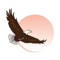 Wings to Soar icon