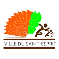 Ville du Saint-Esprit icon