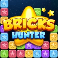 Bricks Hunter icon