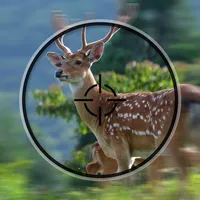 Hunting Cam+ icon