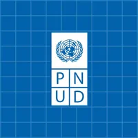 UNDP AD Augmented Development icon