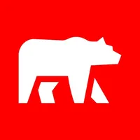 PolarBare icon