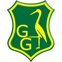 Groen-Geel IZZIGOLF icon