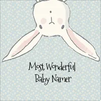 Wonderful Baby Namer icon