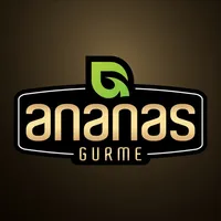 Ananas Gurme icon