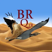 BR QTR icon