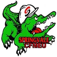 Springvale Union icon