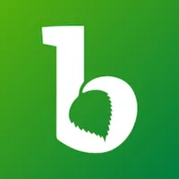 Birkenwerder App icon