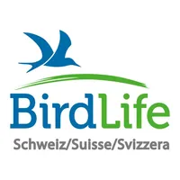 Vogelführer Birdlife Schweiz icon