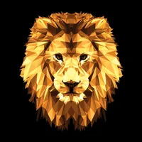 Ameerah lions icon