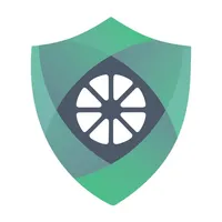 Lemon VPN icon