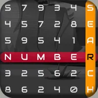 Number Search Puzzle icon